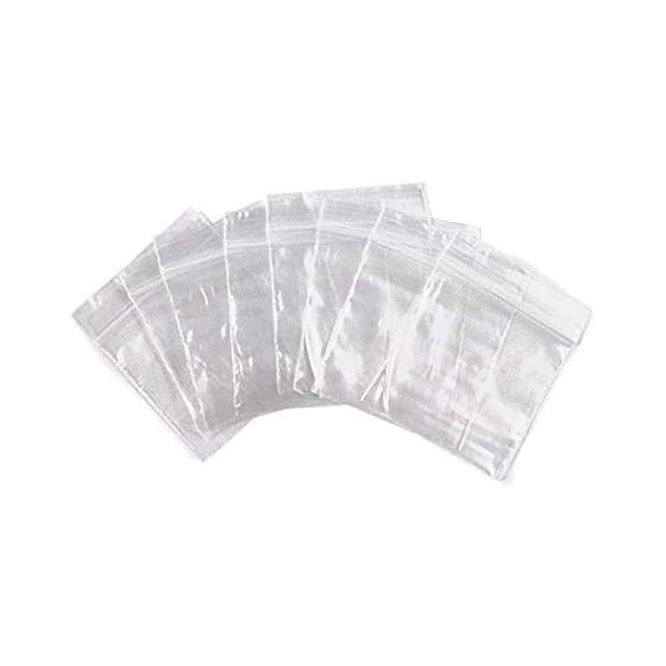 FlanicaUSA 300 CT Resealable Mini Zipper Polly Bags 2 Mil Clear (1" x 1")