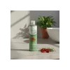Shampoo De Chile Y Romero Sheló Nabel Crecimiento De Cabello