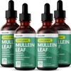 5-in-1 Mullein Drops for Lungs and Bronchial - Respiratory Lung