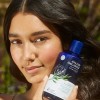 Avalon Organics Shampoo con complejo B de Biotina, 14 fl