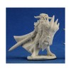 Reaper RPR89032 Bones Anti Paladin Miniature
