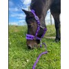 Equipride Horse Print Faux Lined Nylon Headcollars with Matching Lead Rope Purple (Mini Shetland)