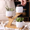 Linglan Ceramic Succulent Garden Planter, Mini Owl Flower Pots with