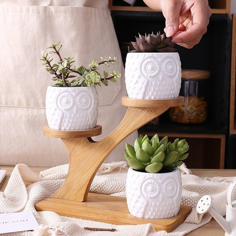 Linglan Ceramic Succulent Garden Planter, Mini Owl Flower Pots with