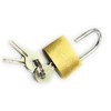Audio Fan Small Padlock with Key, 1.0 inch (25 mm)