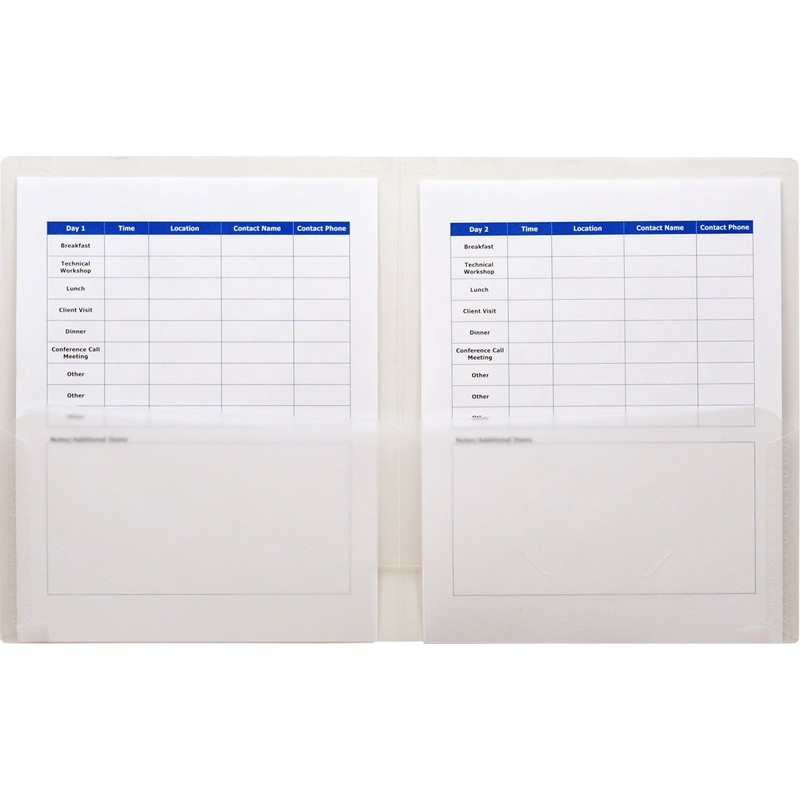 Lion 2-Pocket Plastic Folder, Clear, Pack of 4 (91100-CR-4P)