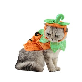 SUPVOX De Calabaza Disfraces De Calabaza Disfraz De Halloween Disfraz De Halloween De para