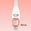 Shampoo Protector De Color Para Cabellos Teñidos 500mlyellow