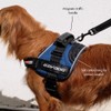 EZYDOG Convert Dog Harness | Magnetic Handle, Anti Pull Harness,