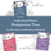 Earth Mama Organic Ginger Nausea™ Tea | Comforts Occasional Nausea