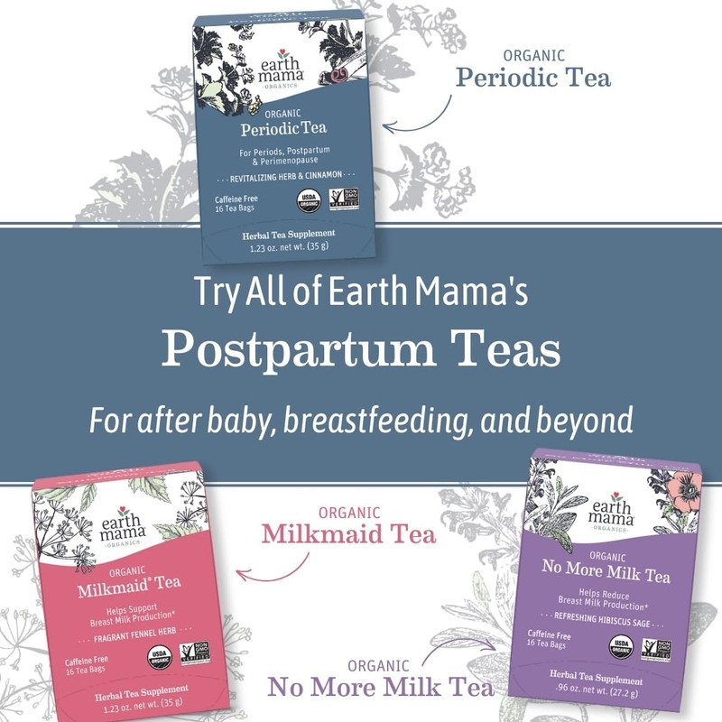 Earth Mama Organic Ginger Nausea™ Tea | Comforts Occasional Nausea
