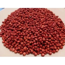 Half Acre In Town Farm WGF Sorghum Seeds for Planting - High Yield, Drought Tolerant, Wildlife Forage - 1/2 Pound