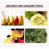 Importeek 25pz Exprimidor Limon Limas Citricos Manual Utensilio Cocina