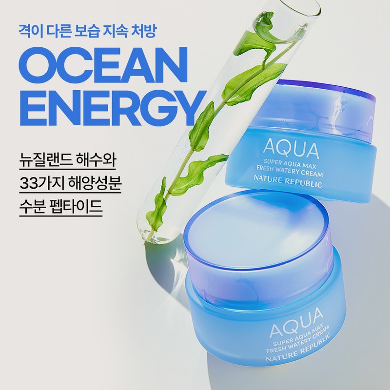 Nature Republic Super Aqua Max Fresh Moisturizer for Oily Skin,