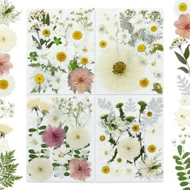 80 piezas de flores prensadas, flores secas blancas flores naturales prensadas a granel para moldes de resina, arte de uñas, álbumes de recortes, portavelas, fabricación de joyas, kit de