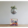 DADO Disco Ball Planter - Disco Planter for Indoor Plants-