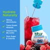 Stur Electrolyte Water Enhancer | Sweetened with Stevia | High