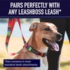 Leash Boss Martingale Collar for Dogs - Steel Chain |