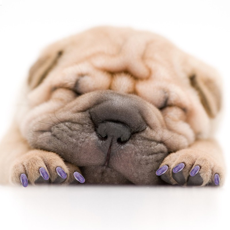 100PCS Pet Dog Soft PVC Nail Cover Paw Claw Cap