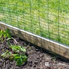 Fencer Wire 16 Gauge Green Vinyl Coated Rabbit Guard Fence,