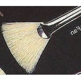 Unbranded Paint Brush ~ Fan Brush #8