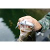 Shimano Bait 99SS ZR-599T Gourin Bass 014 Bantam Freshwater Plug,