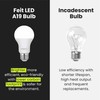 Feit Electric A19 LED Light Bulbs, 60W Equivalent, Non-Dimmable, 800