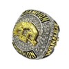 Customize Pro Wrestling Winner Championship Rings Medal Trophy Prize (Paper,9)