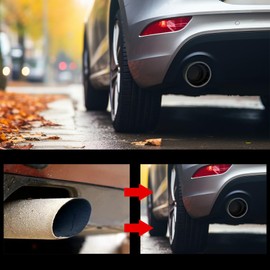 Krtopo Car Exhaust Tailpipe Muffler Tip Fit for 2.5"(63mm) Inlet Exhaust Pipe Stainless Steel End Pipe 4”(101mm) Outlet Modification Rear Tailpipe End Throat (Straight Silver)