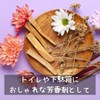 Palo Santo Palasanto Incense Wood Stick Outlet Genuine Purifying Peru