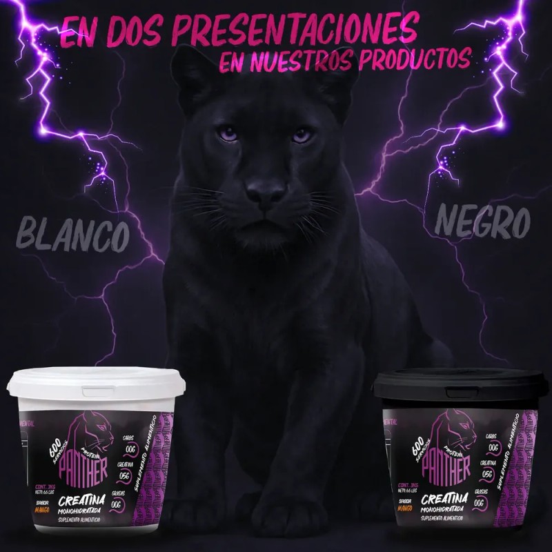 Creatina Panther Protein Monohidratada 3kg 600 Servicios