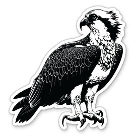 Osprey Bird Vinyl Sticker - for Water Bottle Phone Car Tumbler Laptop - Waterproof - 3"