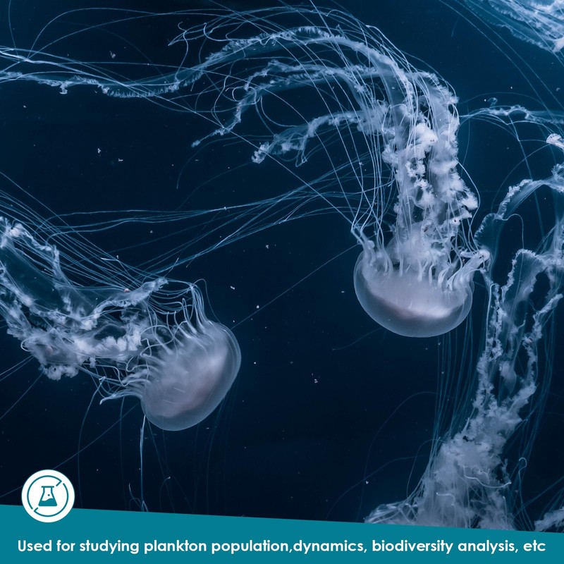 Sedgwick-Rafter Plankton Counting Chamber, Microscope Slide for Phytoplankton/Zooplankton Analysis, Laboratory