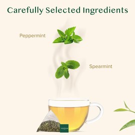 VAHDAM, Pure Mint Herbal Tea (100 Pyramid Tea Bags) Caffeine Free, Non GMO, Gluten Free | Blend of Spearmint & Peppermint - Sweet & Minty | Resealable Ziplock Pouch