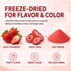 Sturelehub Organic Freeze Dried Strawberry Powder 8oz Fresh Taste in