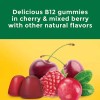 Nature Made B12 Extra Strength Gummies, 160 ct.