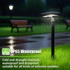 Jefedana Solar Lights for Outdoor Garden: IP65 Waterproof Solar Lights