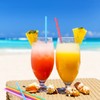 Patelai 10.6 Inch Straw Dispenser and 200 Pcs Drinking Straws