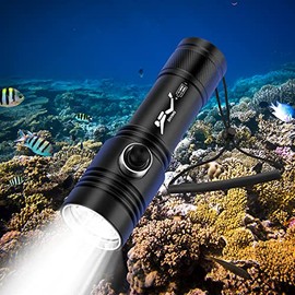 BlueFire Diving Flashlight,Dual Lights 1500 Lumen Waterproof Diving Torch,Dive Lights Underwater 40M LED Flashlight,for Under Water Deep Sea Cave