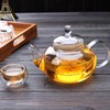 TMOST Glass Teapot 600ml/20.3oz with Removable Infuser Stovetop Safe Glass