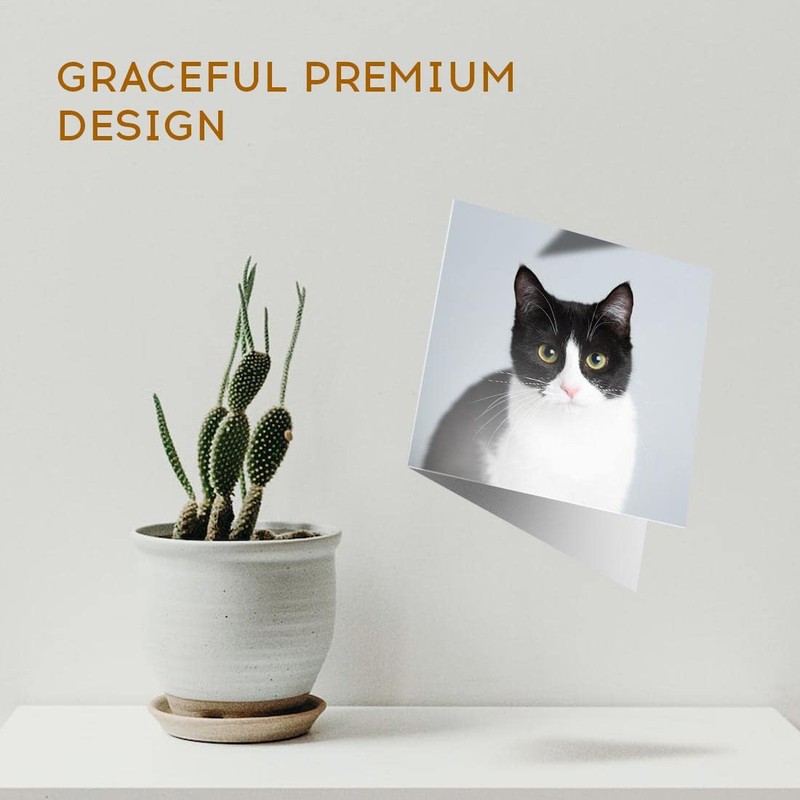 1 x Greeting Card Black & White Cat Kitten Pet