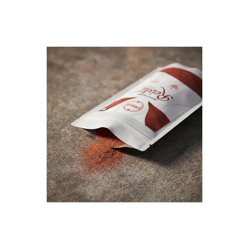 500gr Reishi En Polvo Orgánica