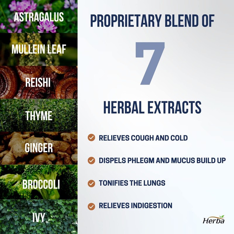 Herba Herba Lung Supplement with Mullein Leaf Extract for Lung