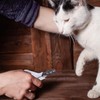 Cat Nail Clippers - Cat Claw Trimmer | Pet Nail