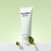 Torridon Toriden Balanceful Cica Cleansing Foam 150ml, 2 pieces /