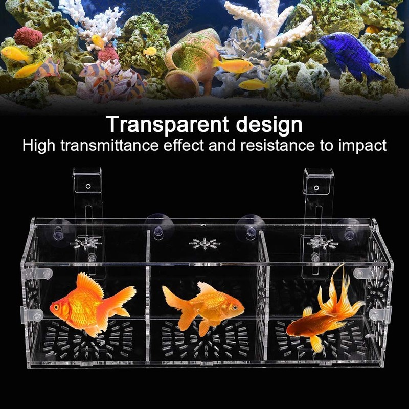 Aquarium Fish Breeder Box, Baby Fish & Shrimp Incubator (30CM*10CM*10CM)