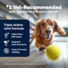 Yumove Hip & Joint Supplement for Dogs with Glucosamine, Hyaluronic
