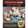 ホットバーン ガルシニア 420mg ブラックジンジャー 120mg エラグ酸 3.1mg ダイエットサプリ HOTBURN 180錠