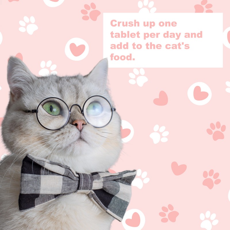 LifeLink's Zobaline for Cats 3 mg x 60 tablets