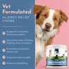 Dog Allergy Relief Chews - Itching Skin Relief with Probiotics